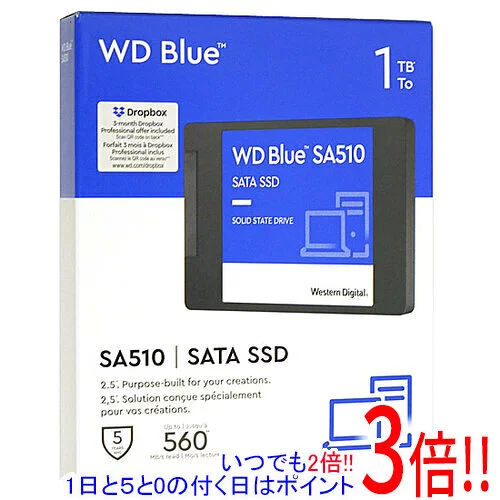 Western Digital製 SSD WD Blue SA510 SATA WDS100T3B0A 1TB